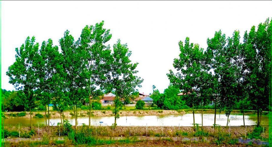 اقامتگاه بوم‌گردی گیل خاتون رشت فضای محوطه