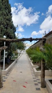 هتل آناهیتا شیراز فضای محوطه