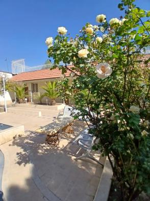 هتل آناهیتا شیراز فضای محوطه