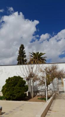 هتل آناهیتا شیراز فضای محوطه