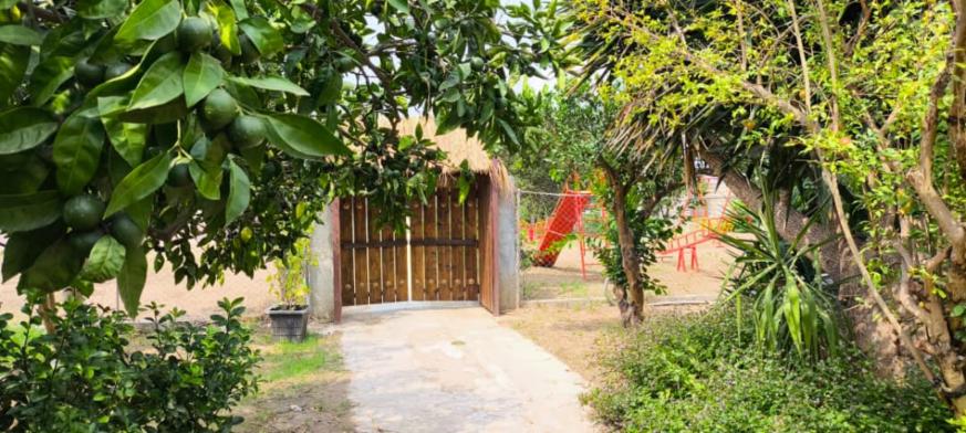 اقامتگاه بوم‌گردی تی تی تگن ساری فضای محوطه