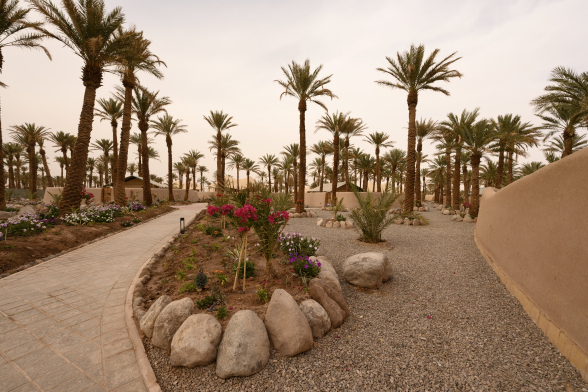 مجتمع گردشگری ریزورت کویری ماکان کرمان فضای محوطه