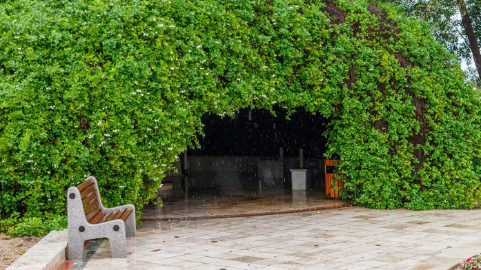 هتل فلامینگو کیش نمای بیرونی هتل فلامینگو کیش نمای بیرونی